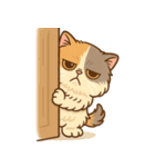 エキゾチックにかわいい猫スタンプ（個別スタンプ：21）
