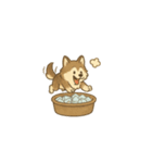 ポムスキー:犬の夏休み（個別スタンプ：2）