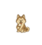 ポムスキー:犬の夏休み（個別スタンプ：5）