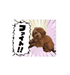 てぃなくんスタンプ（個別スタンプ：1）