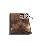 てぃなくんスタンプ（個別スタンプ：8）