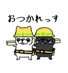 黒パグのくう〜8。ニコイチいつも一緒（個別スタンプ：1）