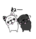 黒パグのくう〜8。ニコイチいつも一緒（個別スタンプ：10）