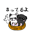 黒パグのくう〜8。ニコイチいつも一緒（個別スタンプ：15）