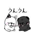 黒パグのくう〜8。ニコイチいつも一緒（個別スタンプ：36）