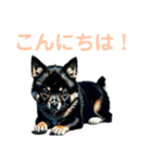 黒柴ちゃん、のんびり日和（個別スタンプ：3）