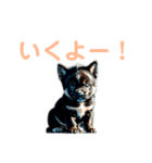 黒柴ちゃん、のんびり日和（個別スタンプ：6）