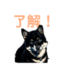 黒柴ちゃん、のんびり日和（個別スタンプ：15）