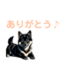 黒柴ちゃん、のんびり日和（個別スタンプ：32）
