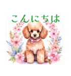 水彩を感じるトイプードルスタンプ（個別スタンプ：1）