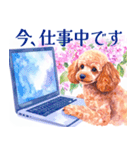 水彩を感じるトイプードルスタンプ（個別スタンプ：8）