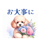 水彩を感じるトイプードルスタンプ（個別スタンプ：13）