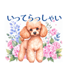 水彩を感じるトイプードルスタンプ（個別スタンプ：14）