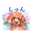 水彩を感じるトイプードルスタンプ（個別スタンプ：18）