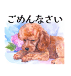 水彩を感じるトイプードルスタンプ（個別スタンプ：19）