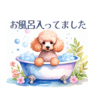 水彩を感じるトイプードルスタンプ（個別スタンプ：22）