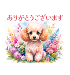 水彩を感じるトイプードルスタンプ（個別スタンプ：24）