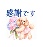水彩を感じるトイプードルスタンプ（個別スタンプ：25）
