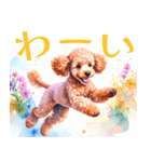 水彩を感じるトイプードルスタンプ（個別スタンプ：26）
