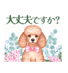 水彩を感じるトイプードルスタンプ（個別スタンプ：31）