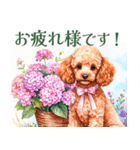 水彩を感じるトイプードルスタンプ（個別スタンプ：35）
