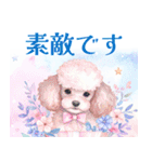 水彩を感じるトイプードルスタンプ（個別スタンプ：38）