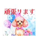 水彩を感じるトイプードルスタンプ（個別スタンプ：40）