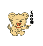 ぽっちゃりヨーキースタンプ（個別スタンプ：9）