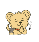 ぽっちゃりヨーキースタンプ（個別スタンプ：17）