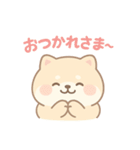 癒しのもちふわ豆柴スタンプ（個別スタンプ：1）