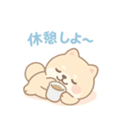 癒しのもちふわ豆柴スタンプ（個別スタンプ：3）
