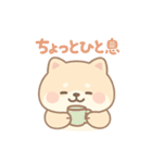 癒しのもちふわ豆柴スタンプ（個別スタンプ：5）