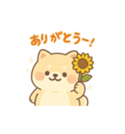 癒しのもちふわ豆柴スタンプ（個別スタンプ：10）