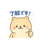 癒しのもちふわ豆柴スタンプ（個別スタンプ：12）