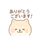 癒しのもちふわ豆柴スタンプ（個別スタンプ：13）