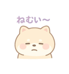 癒しのもちふわ豆柴スタンプ（個別スタンプ：19）
