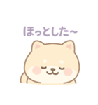 癒しのもちふわ豆柴スタンプ（個別スタンプ：29）