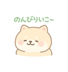 癒しのもちふわ豆柴スタンプ（個別スタンプ：31）