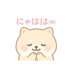 癒しのもちふわ豆柴スタンプ（個別スタンプ：34）