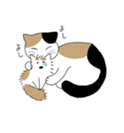 てんちゃんと仲間たち（個別スタンプ：11）