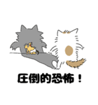 てんちゃんと仲間たち（個別スタンプ：13）