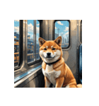 柴犬の日常12（個別スタンプ：5）