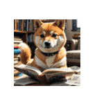 柴犬の日常12（個別スタンプ：13）