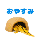 レオパ～な日常（個別スタンプ：6）