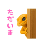 レオパ～な日常（個別スタンプ：8）