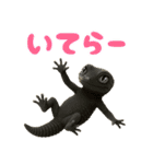 レオパ～な日常（個別スタンプ：12）