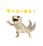 レオパ～な日常（個別スタンプ：15）