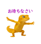 レオパ～な日常（個別スタンプ：17）