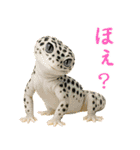 レオパ～な日常（個別スタンプ：20）