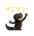 レオパ～な日常（個別スタンプ：23）
